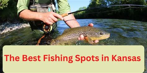 kansas fishing license renewal|Auto.